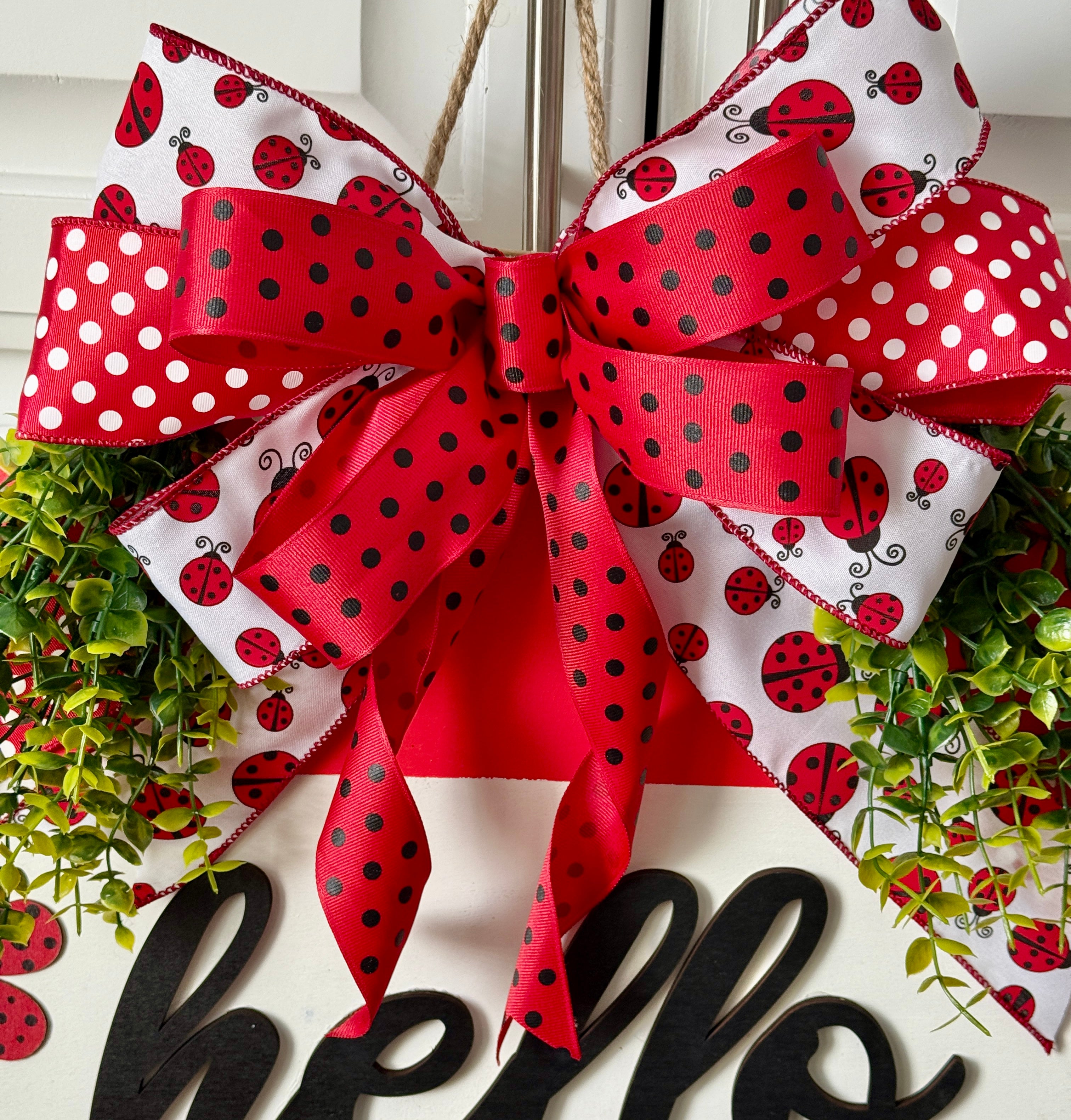 The Polka Dot Ladybug Door Hanger
