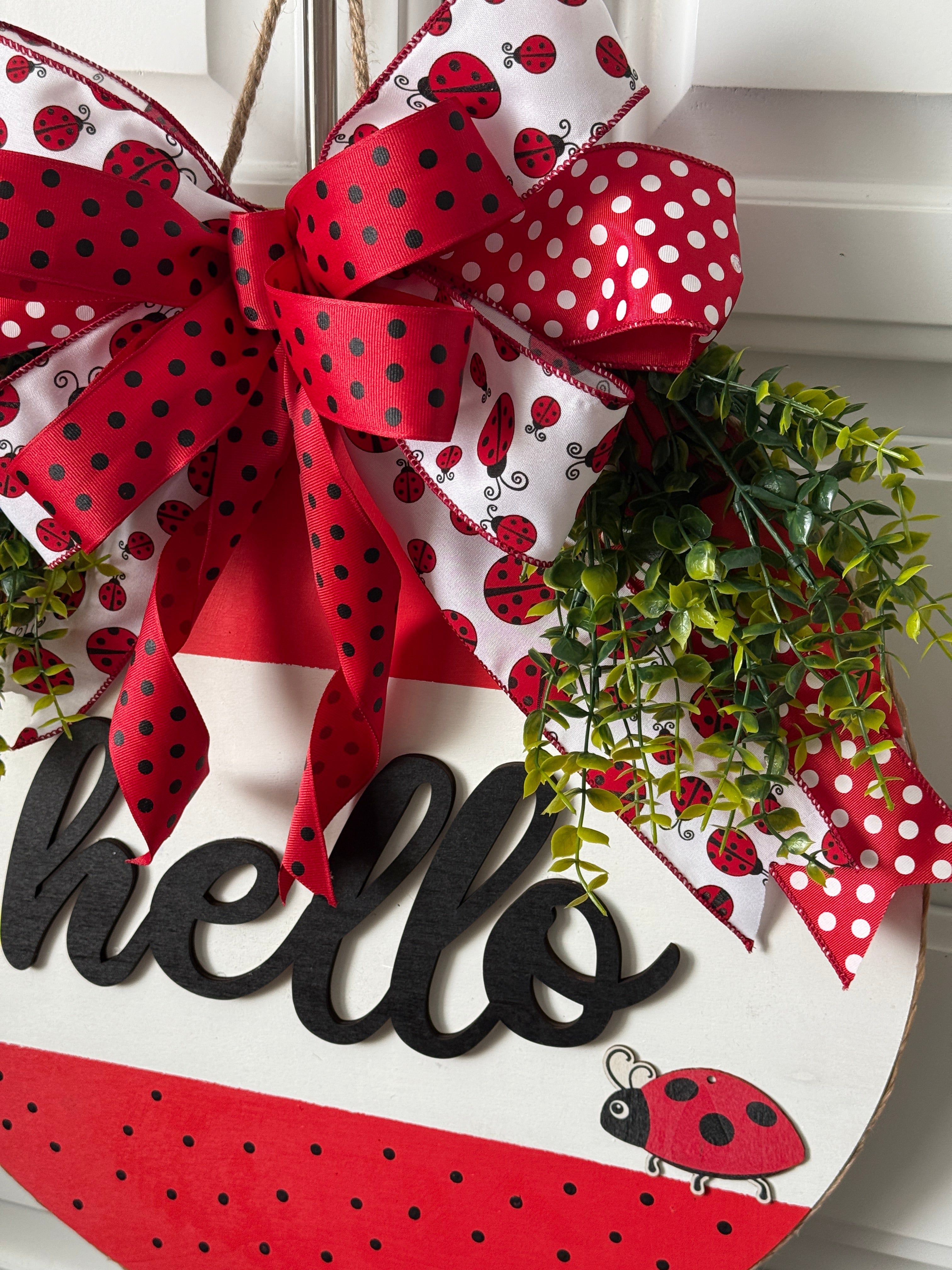 The Polka Dot Ladybug Door Hanger