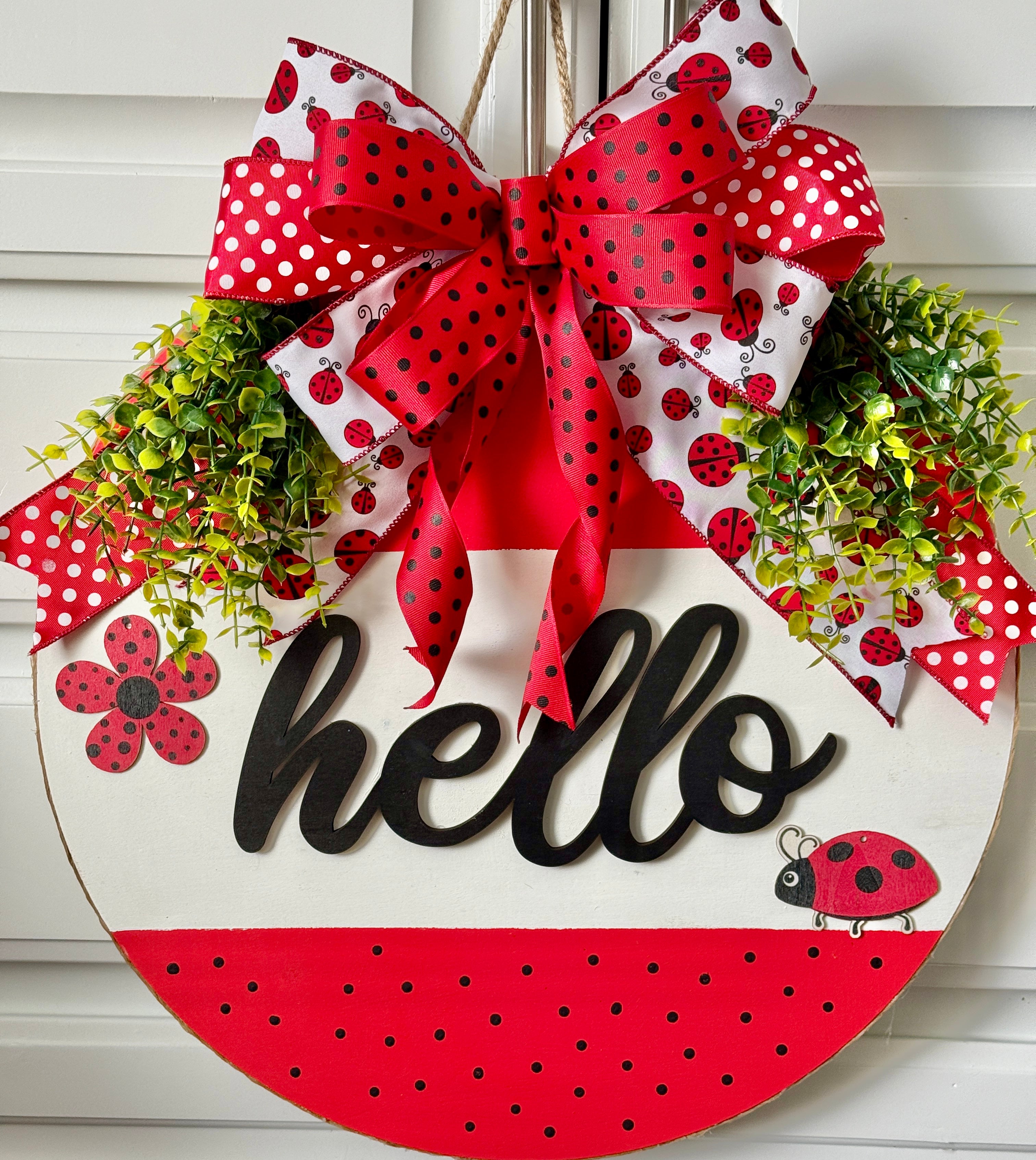 The Polka Dot Ladybug Door Hanger